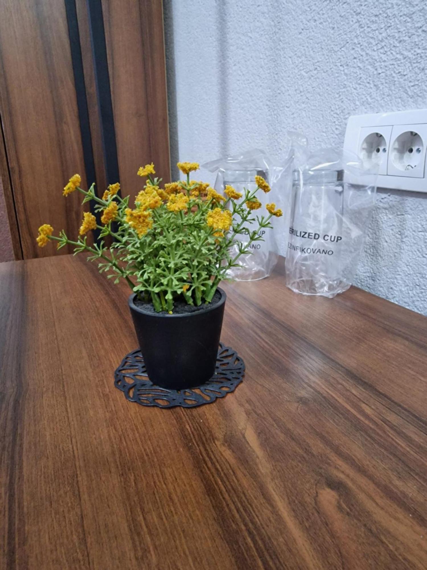 Hotel Djerdan Kraljevo Kültér fotó